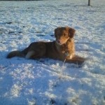 Chilling in the snow!
