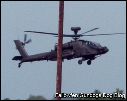Apache Helicoptor Gunship